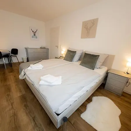 Hirschhoehe Im Taunus 公寓 新安斯波